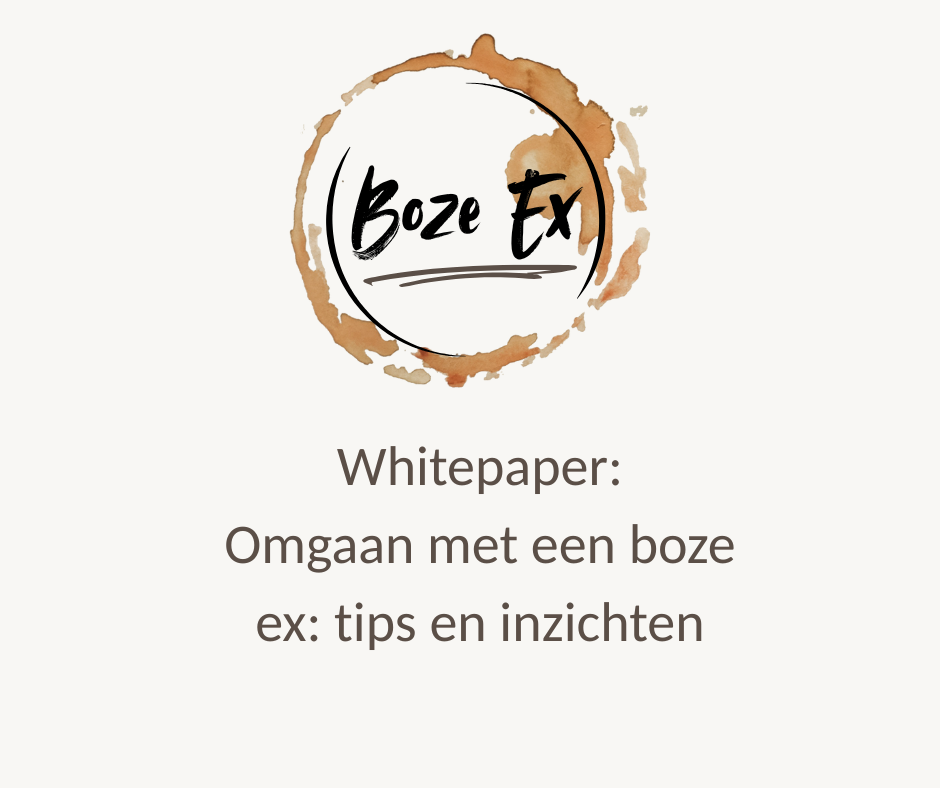 Whitepaper: omgaan met een boze ex