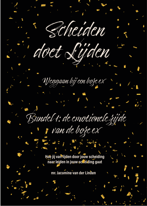 Bundel 1: De emotionele zijde van de boze ex