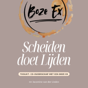 Toolkit De boze ex overleven