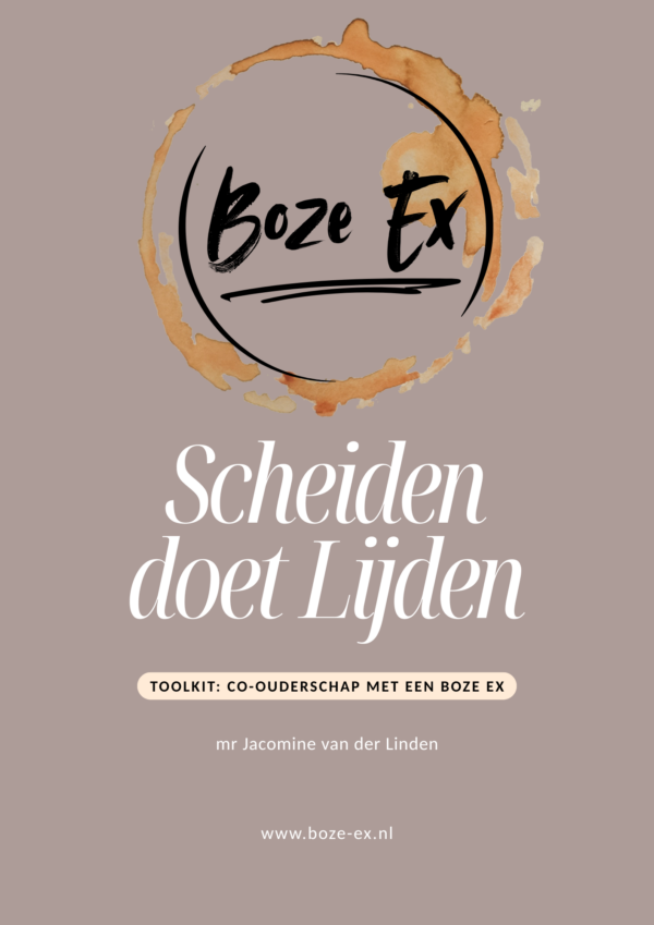 Toolkit De boze ex overleven